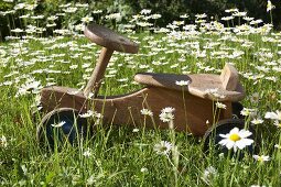 Rustikales Kinderfahrzeug aus Holz auf Sommerwiese mit Margeriten