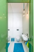 Blick durch grünen, hochglänzenden Türrahmen in schmales WC mit seitlicher Spiegelwand