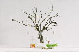 Knospende Obstbaumzweige dekoriert mit weissen Hühnereiern als Osterdekoration
