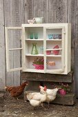 Hens below wall-mounted cabinet hand-made from old windows