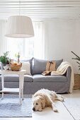 Dog lying on floor in front of couch and white-painted side table below pendant lamp with white fabric lampshade in rustic living room