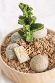 Oriental-style arrangement of Crassula, pebbles, Buddha plaque and pieces of cork in wooden bowl