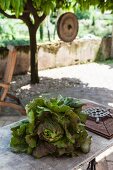 Fresh head of lettuce on garden table