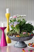Spring flowers and Easter decorations in vintage metal dish next to brightly coloured candlesticks