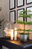 Small potted Christmas tree next to lit candles and deer ornament under glass cover
