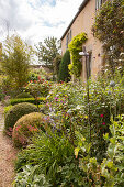 Plant support and clipped box balls in flowering garden outside manor house