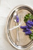 Grape hyacinths and silver cutlery on silver tray