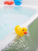 Water slopping out of bath carrying rubber ducky
