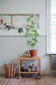 Houseplant and storage jars on serving trolley below old door hung on wall as pinboard