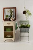 Houseplants on vintage serving trolley and in zinc tub on folding chair