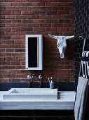 Minimalist washstand below narrow mirrored cabinet and cow skull on brick wall