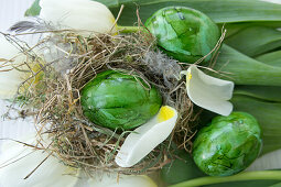 Green Easter eggs and white tulips