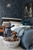 Dog in white basket next to bed with striped headboard and below frame poster of Charlie Chaplin on floral wallpaper