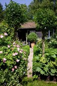 Blühender Garten mit Weg zum Blockhaus