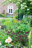 Flowering herbaceous border in garden of brick house in background with woman framed in window