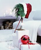 Zimmerbäumchen mit roter Nikolausmütze neben Geschenk mit roter, beschrifteter Weihnachtskugel
