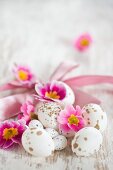 Speckled Easter eggs and pink primula flowers