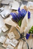 Grape hyacinths wrapped in vintage paper amongst small alphabetical labels