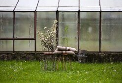Branches of blossom in wire basket and rustic woollen blankets on stools on green spring lawn in front of greenhouse
