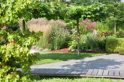 Wooden walkway leading through well-tended summer garden