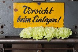 Green carnations on vintage printing press with warning sign