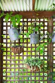 Zinc watering cans hung on wooden grids and hanging baskets with vintage flair
