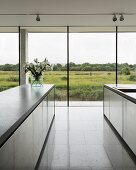 Purist designer kitchen with view over wildlife reserve