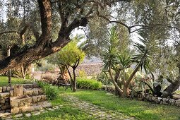 Water spout, bench and palm trees in Mediterranean garden