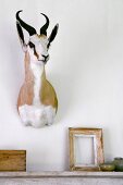 Hunting trophy above wooden picture frame and box on mantelpiece