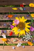 Various flowers on wooden boards