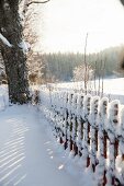 Snowy picket fence and view of winter landscape