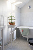Monkey puzzle tree in wash basin on stand next to bathtub