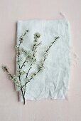 Flowering branch on white fabric