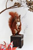 Stuffed squirrel and festive decorations