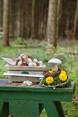 Button mushrooms on scales and wooden toadstool on arrangement of moss and flowers