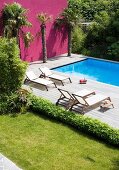 Sun loungers and palm trees on wooden deck next to pool