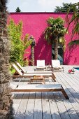 Sun loungers on sunny wooden deck and palm trees against magenta façade