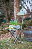Easter arrangement of eggs, moss and grape hyacinths in zinc trough on vintage folding chair