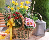Basket with spring flowers ready planted