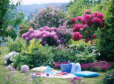 Picnic area, Rhododendron