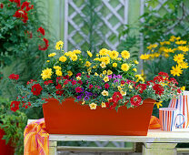Plant orange tin box