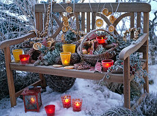 Winterliches Arrangement mit Rauhreif auf Holzbank