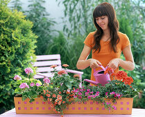Plant orange metal box with geraniums and magic bells
