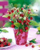 Bouquet of Fragaria with fruits, leaves and flowers