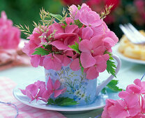 Pink Hydrangea, grasses in light blue espresso cup