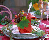 Autumn, table decoration, napkin decoration, grapes