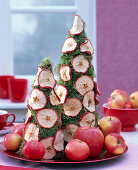 Moss cone with slices of malus (apple)