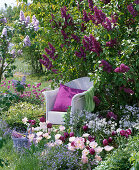 White wicker chair in front of blooming syringa (lilac)