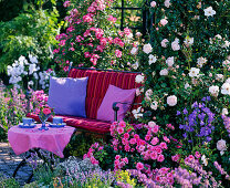 Garden bench in front of rose arbor