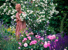 Rosa 'Mary Rose' (Englische Duftrose), Philadelphus